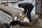 20090119_naplestrp_12_sorrento_cat